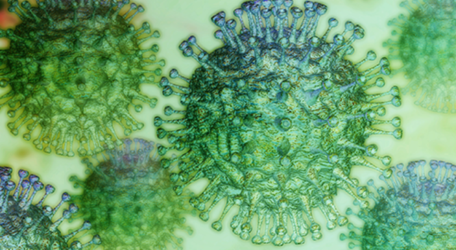 Top Gadgets To Get Help To Know About Coronavirus